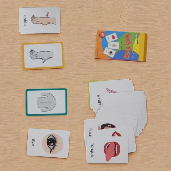 Fun & Educational Flash Cards