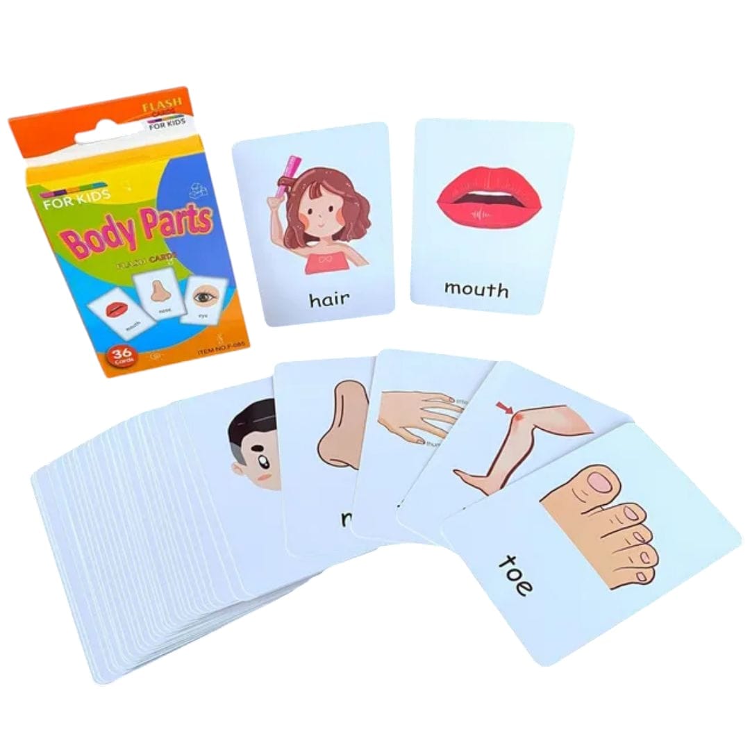 Fun & Educational Flash Cards